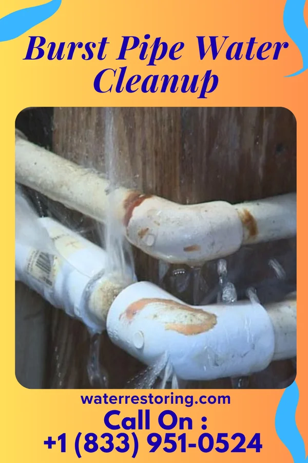 Burst Pipe Water Cleanup in Geneva, NE